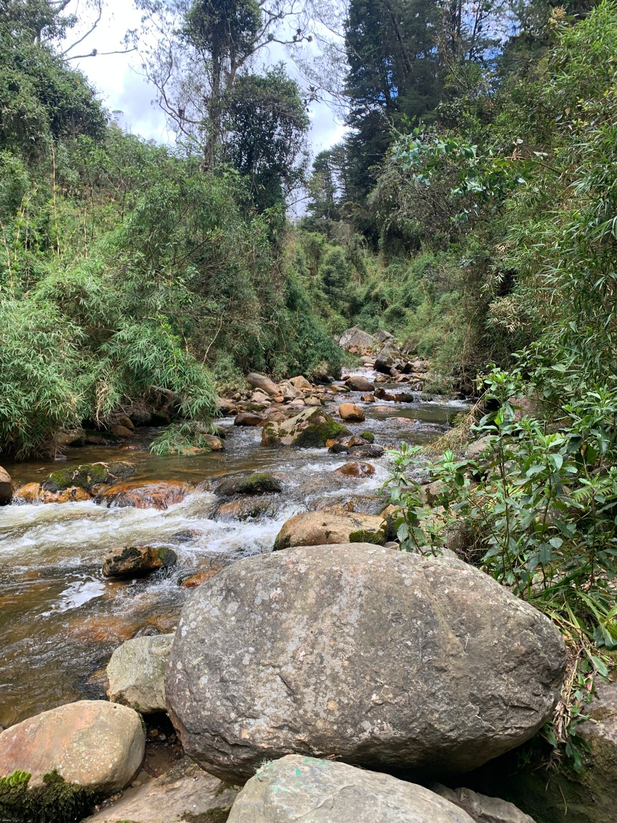 SAN CRISTÓBAL – Contaminación Río Fucha
